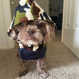 Meet your Posher, Shana